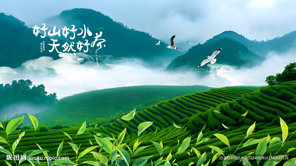 高山茶園