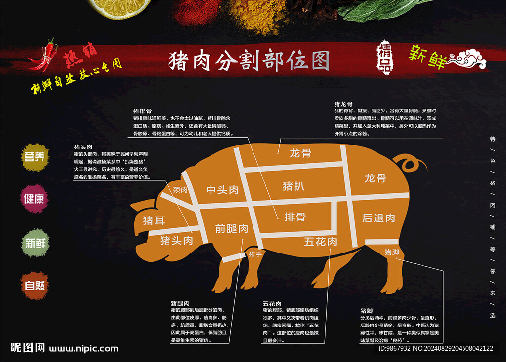 豬肉分割圖