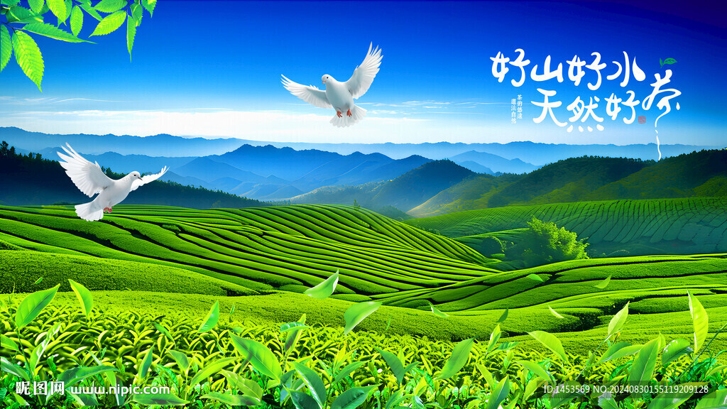 高山茶園