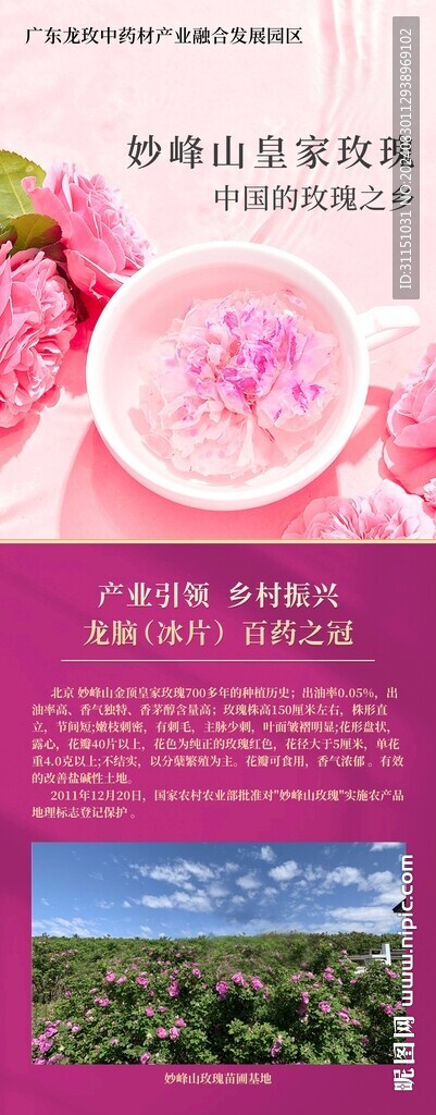 玻璃貼