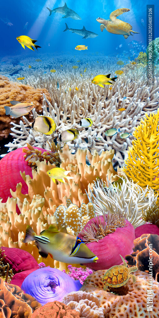 底世界珊瑚海豚3D玄關