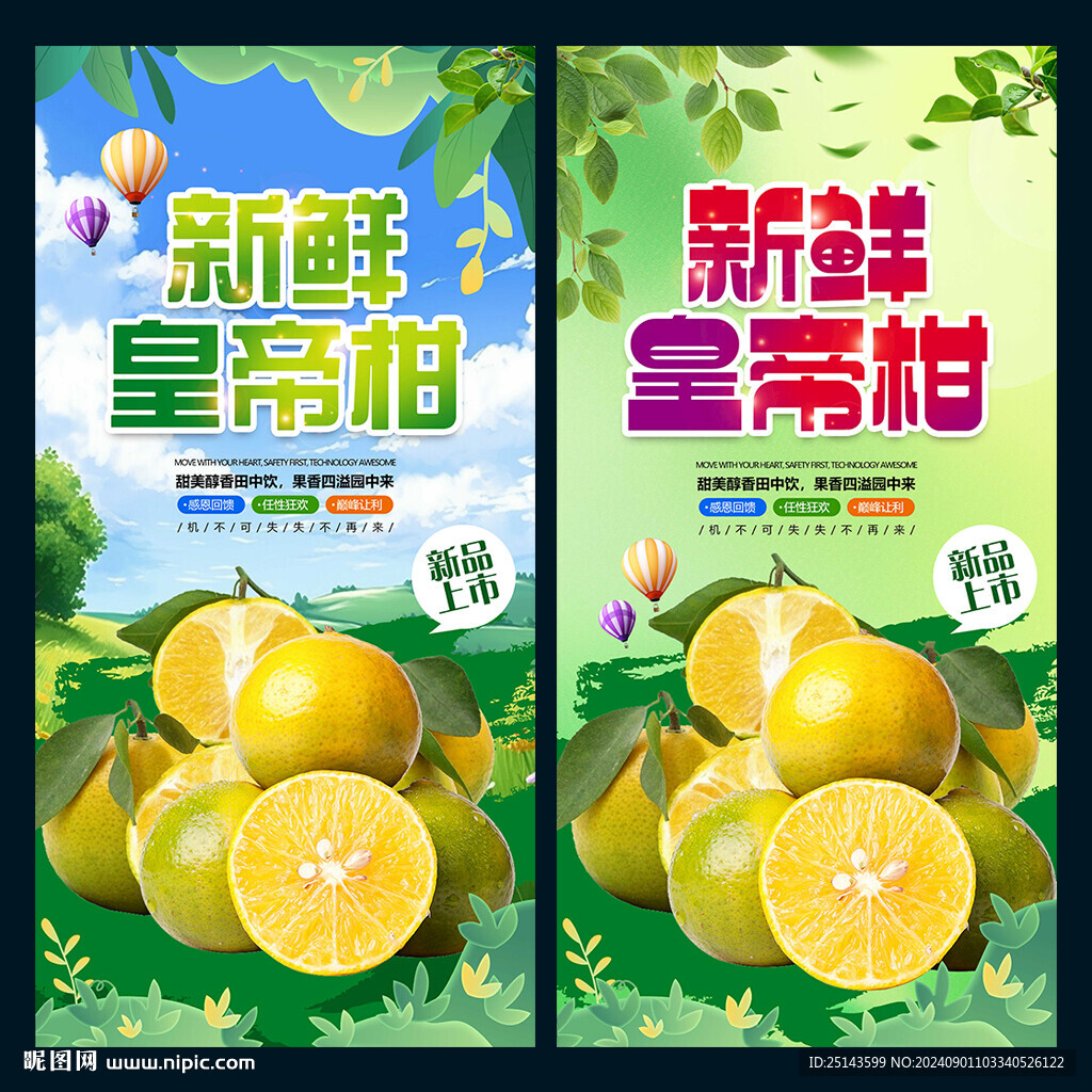 皇帝柑