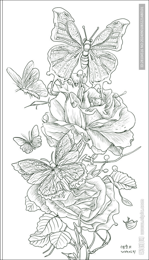 蝴蝶花卉