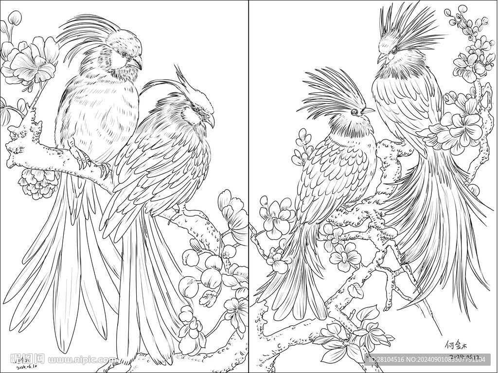花鳥(niǎo)圖