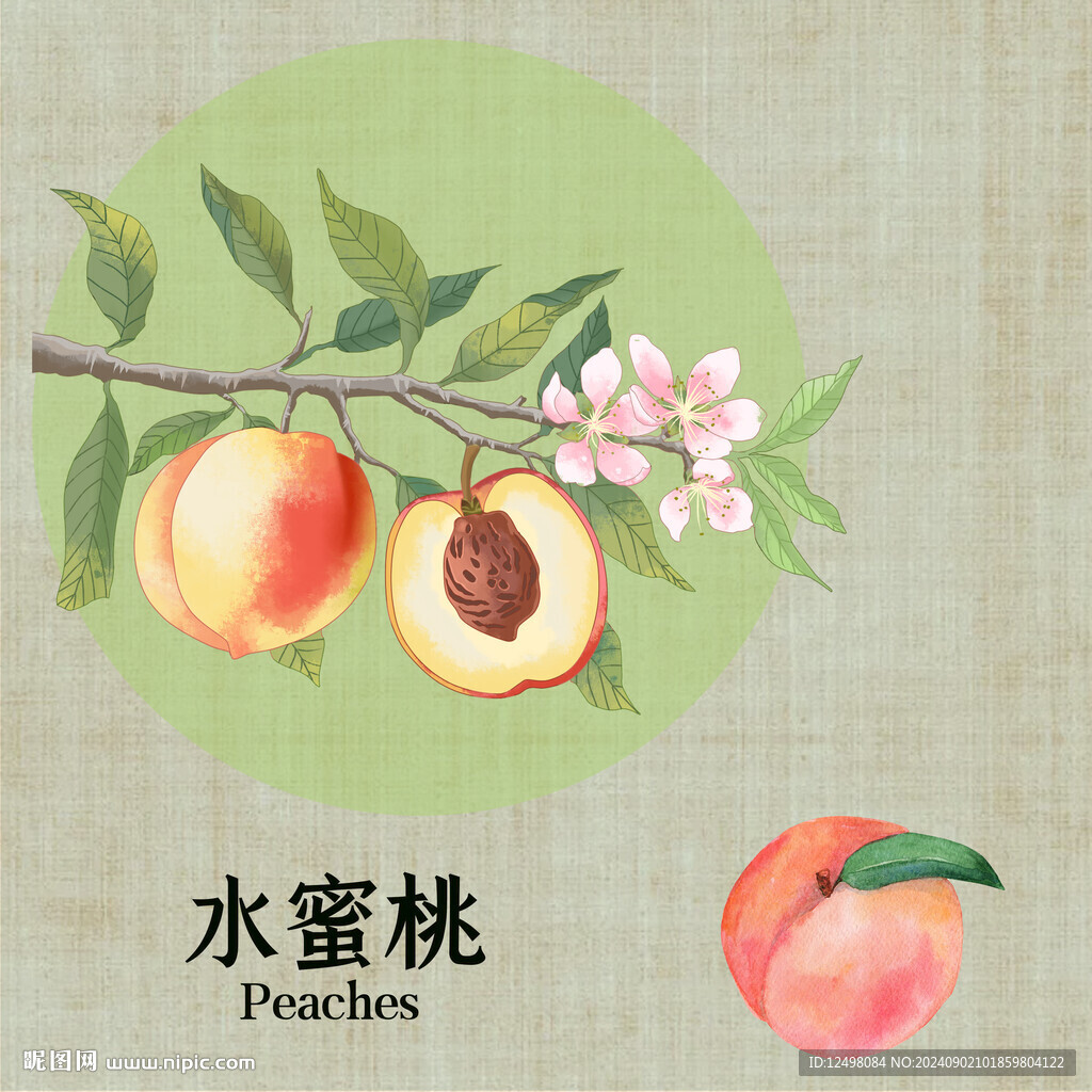 水蜜桃插畫