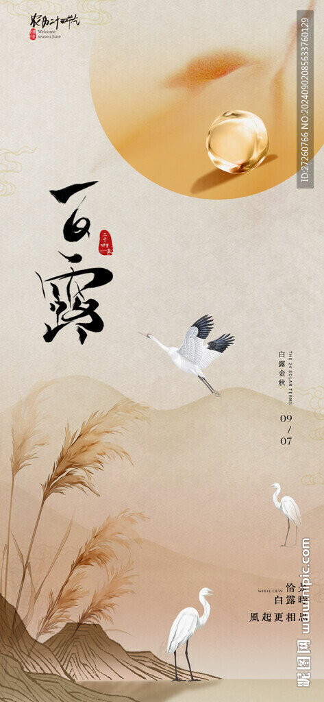 白露節(jié)氣海報