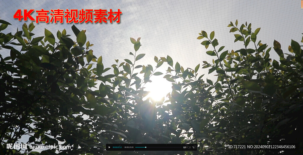 陽光逆光光芒