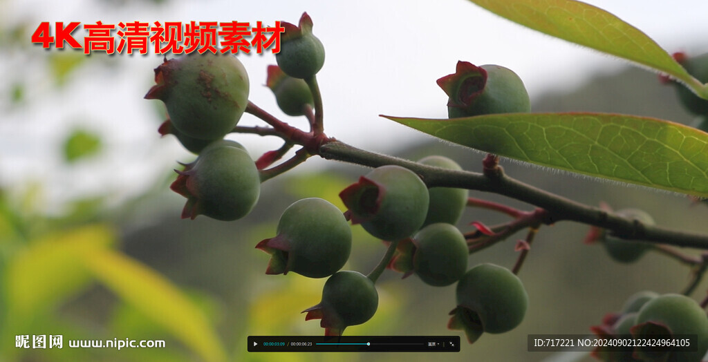 三農視頻素材