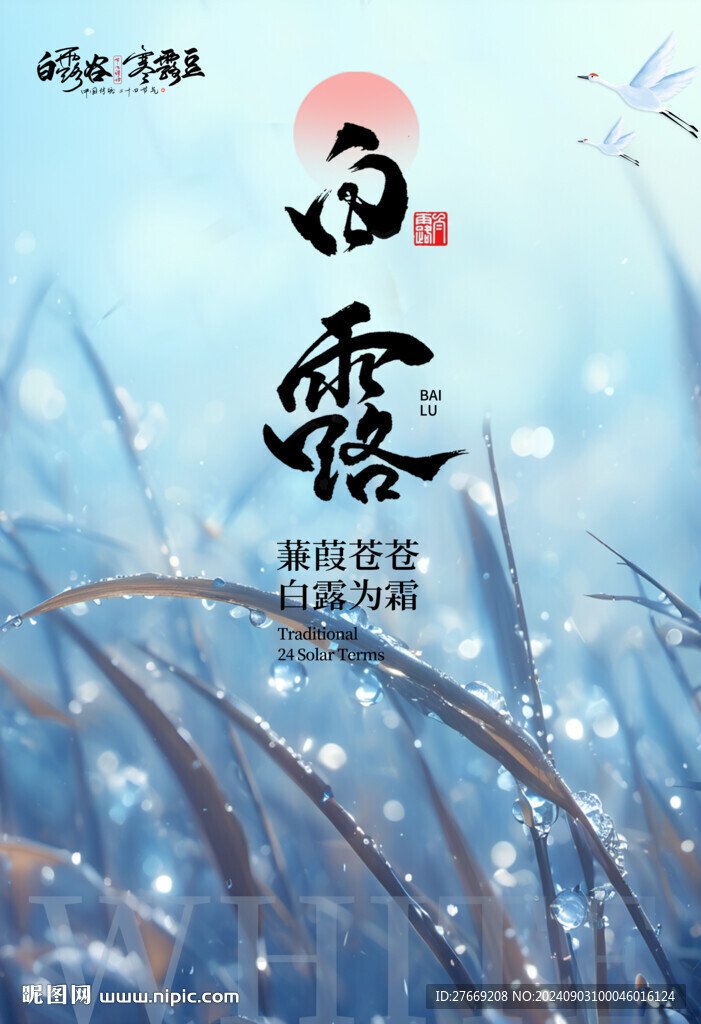 白露高端海報