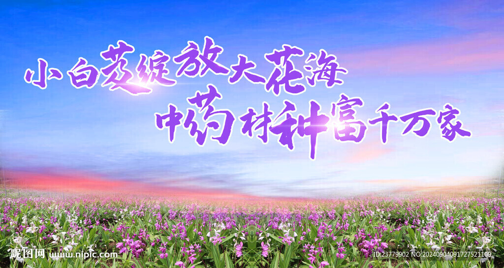 白芨種植基地海報展板