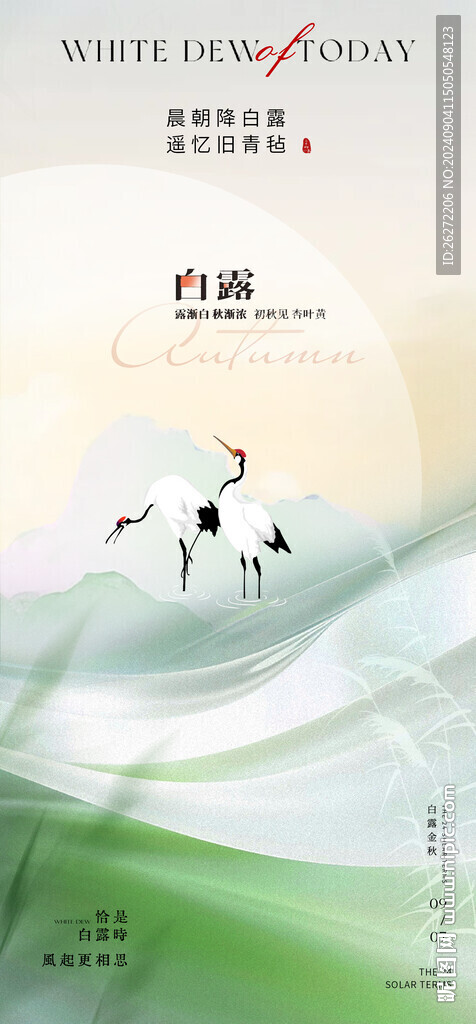 白露節氣海報
