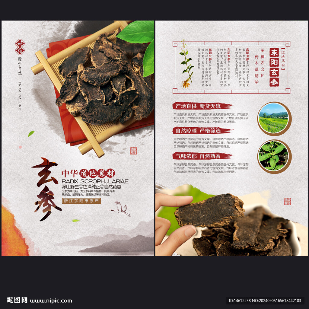 玄參