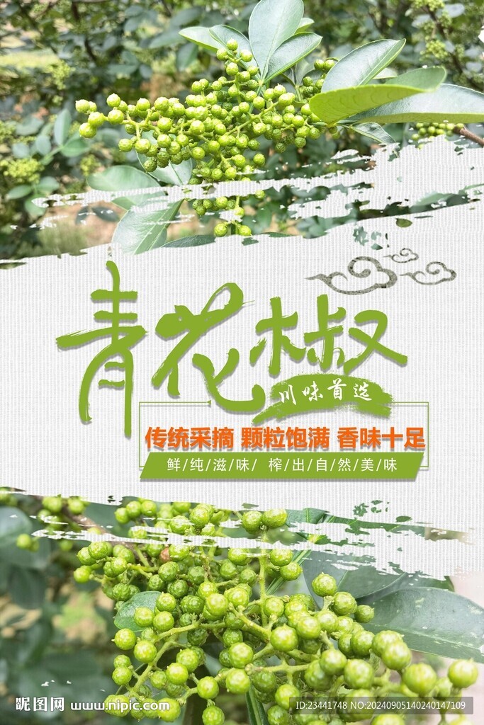 青花椒海報