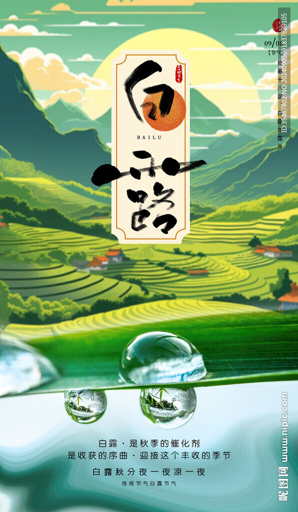 白露