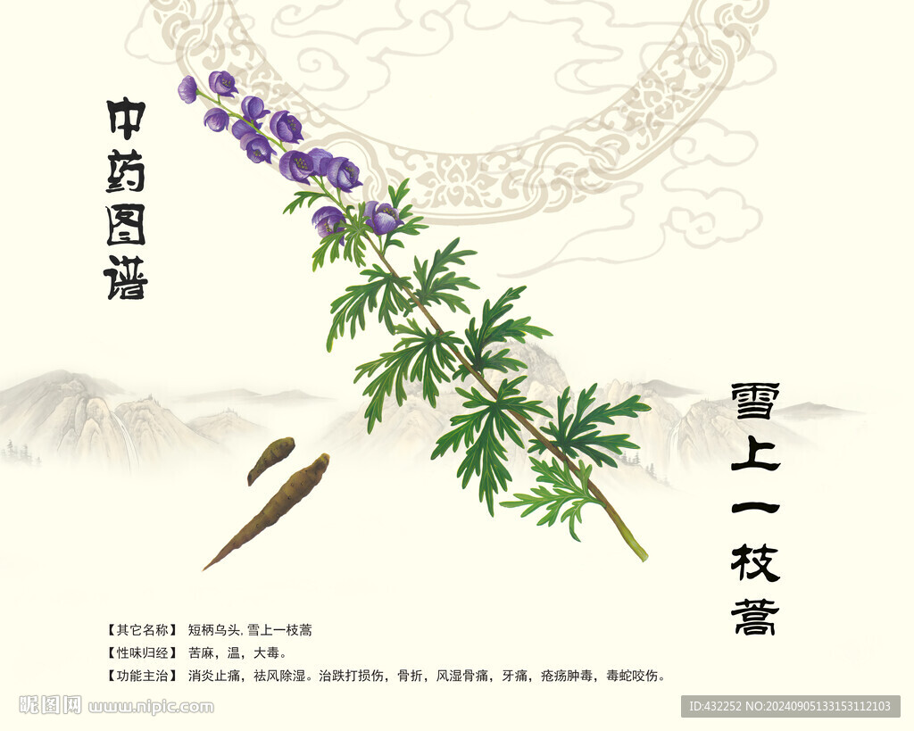 雪上一枝蒿