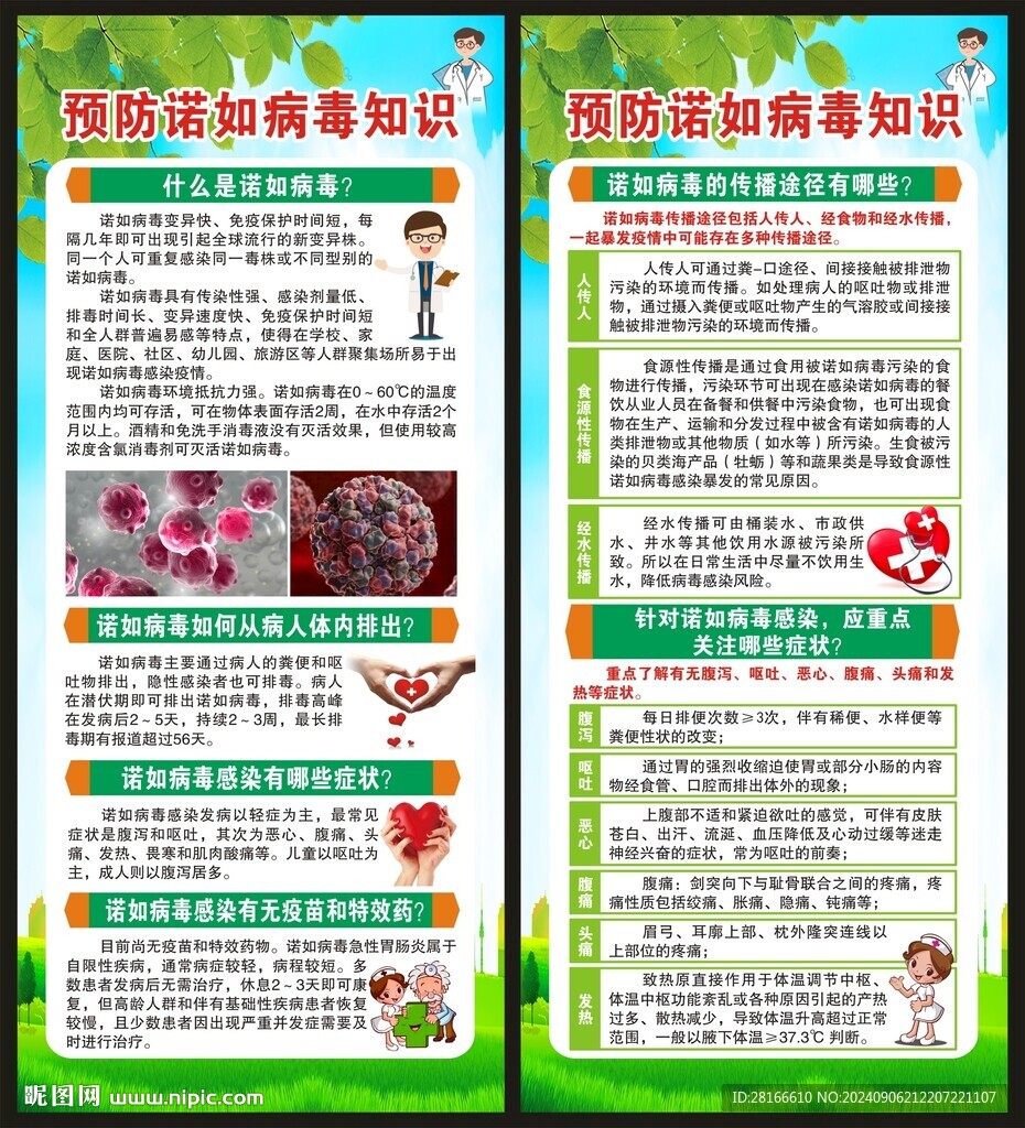 健康教育知識(shí)展架