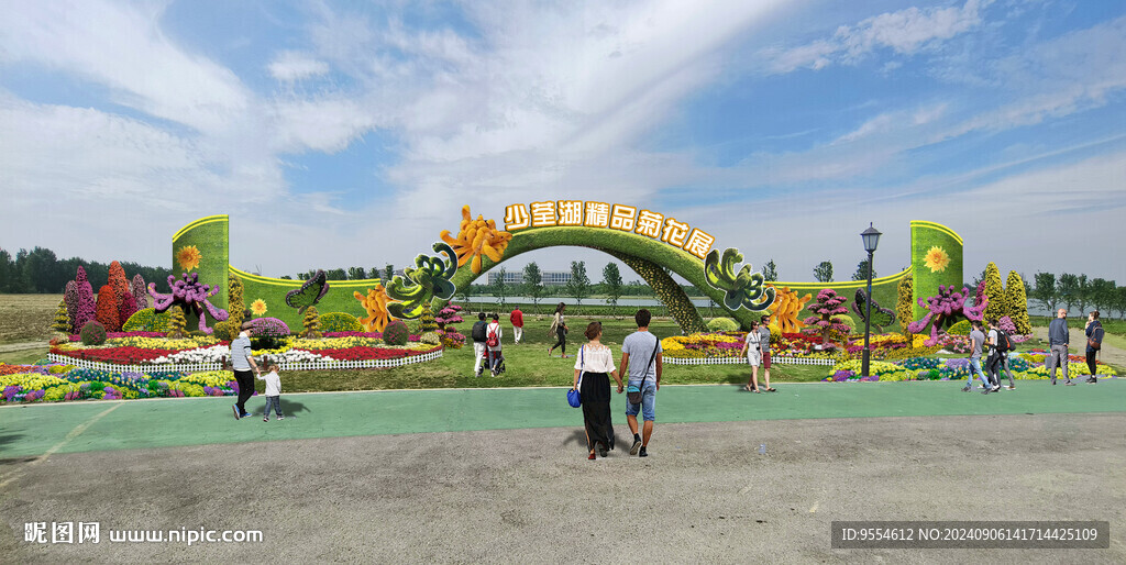 菊花展花壇