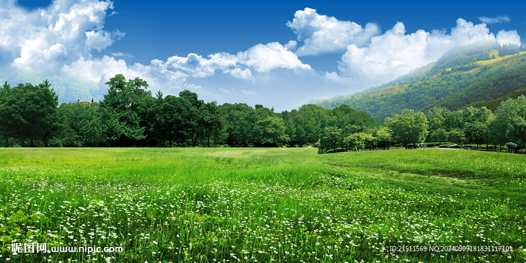 藍(lán)天白云草地