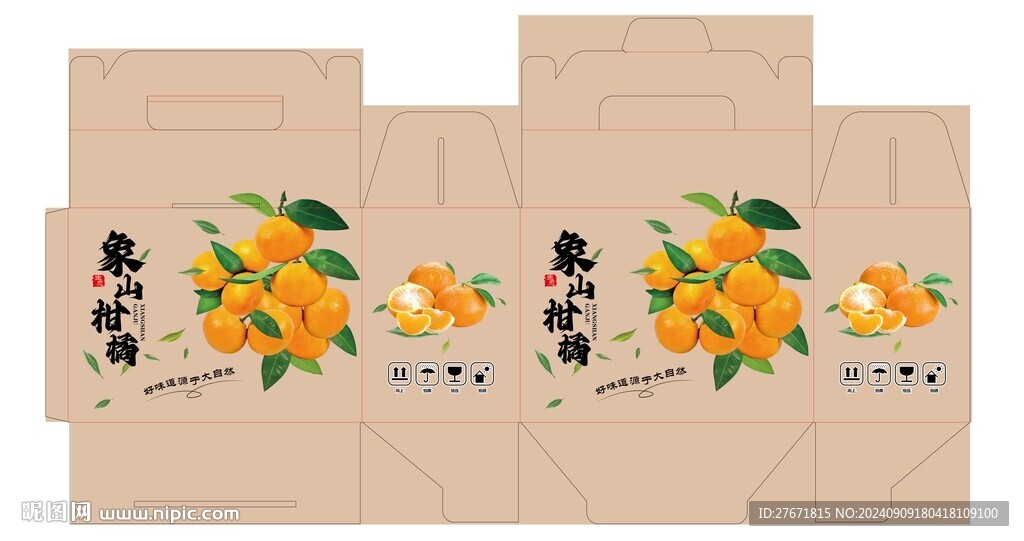 柑橘包裝