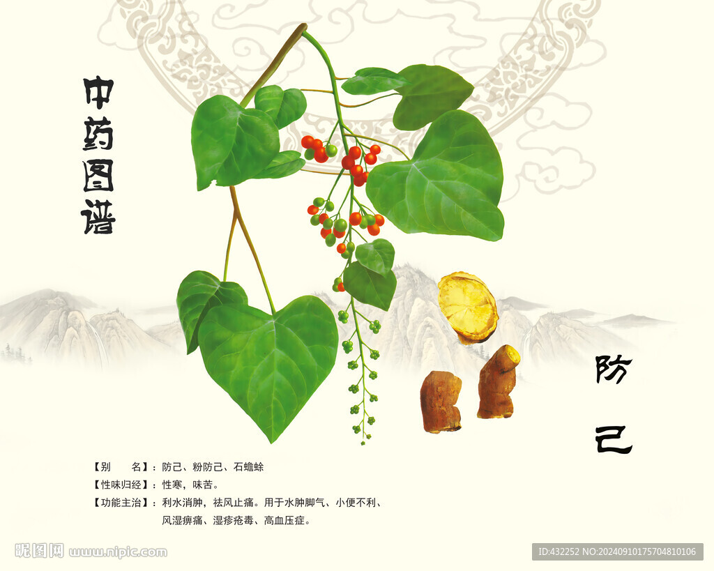 防己中藥防己