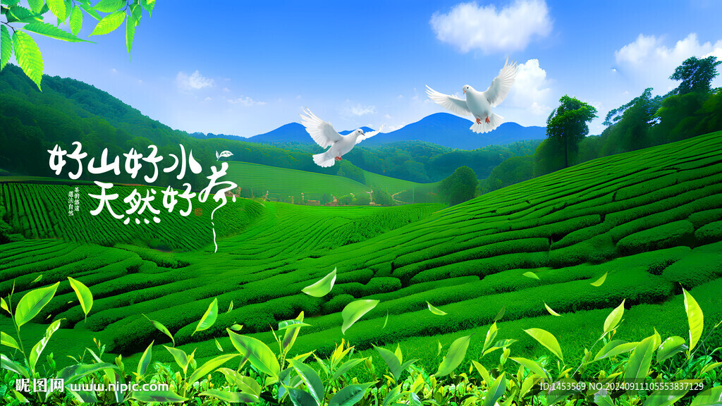 茶山
