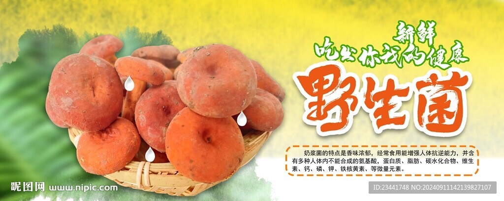 野生菌海報(bào)