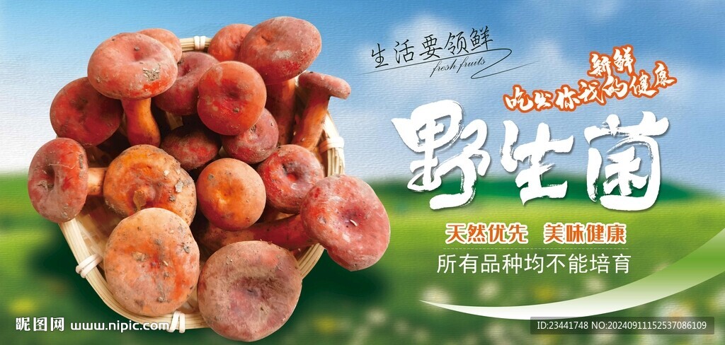 野生菌廣告