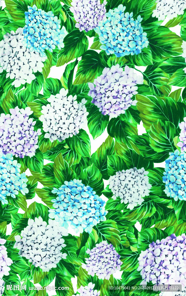 繡球花