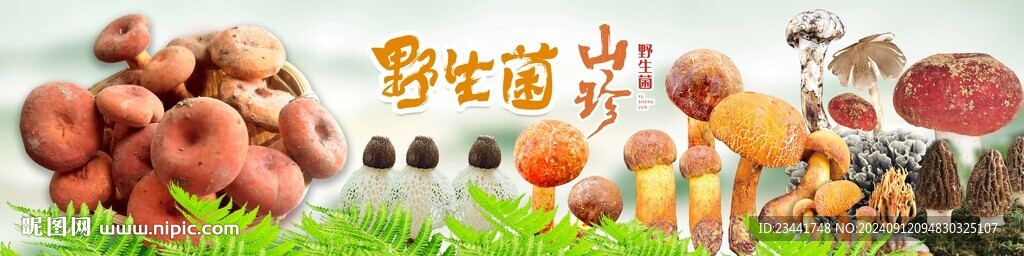 野生菌廣告