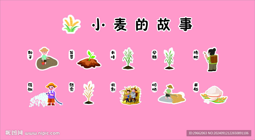 小麥