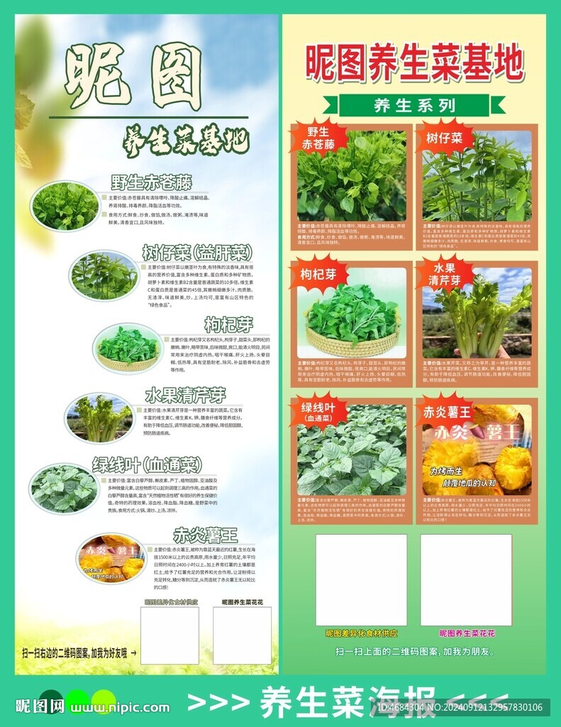 養(yǎng)生菜海報