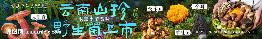 野生菌羊肚菌五連圖banner