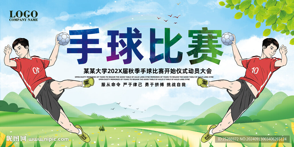手球