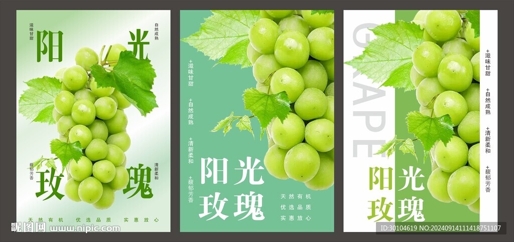 陽光玫瑰