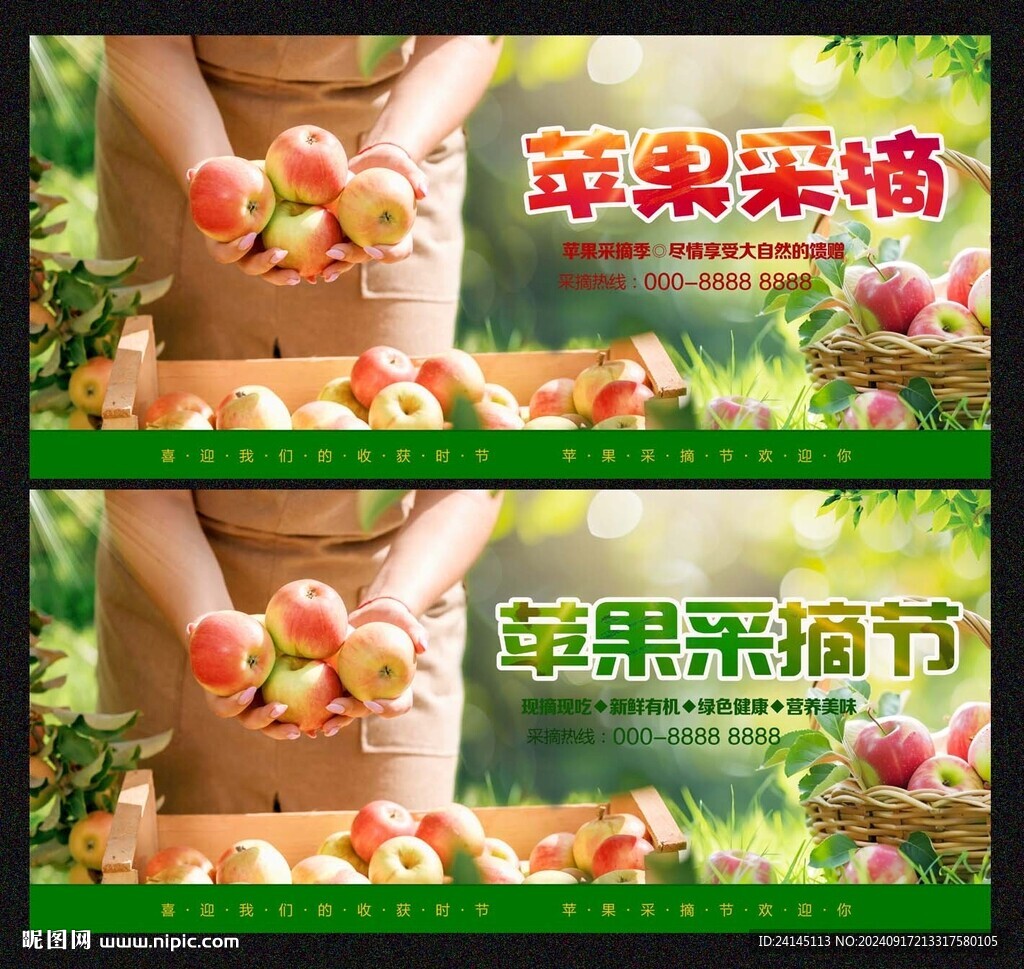 蘋果采摘節
