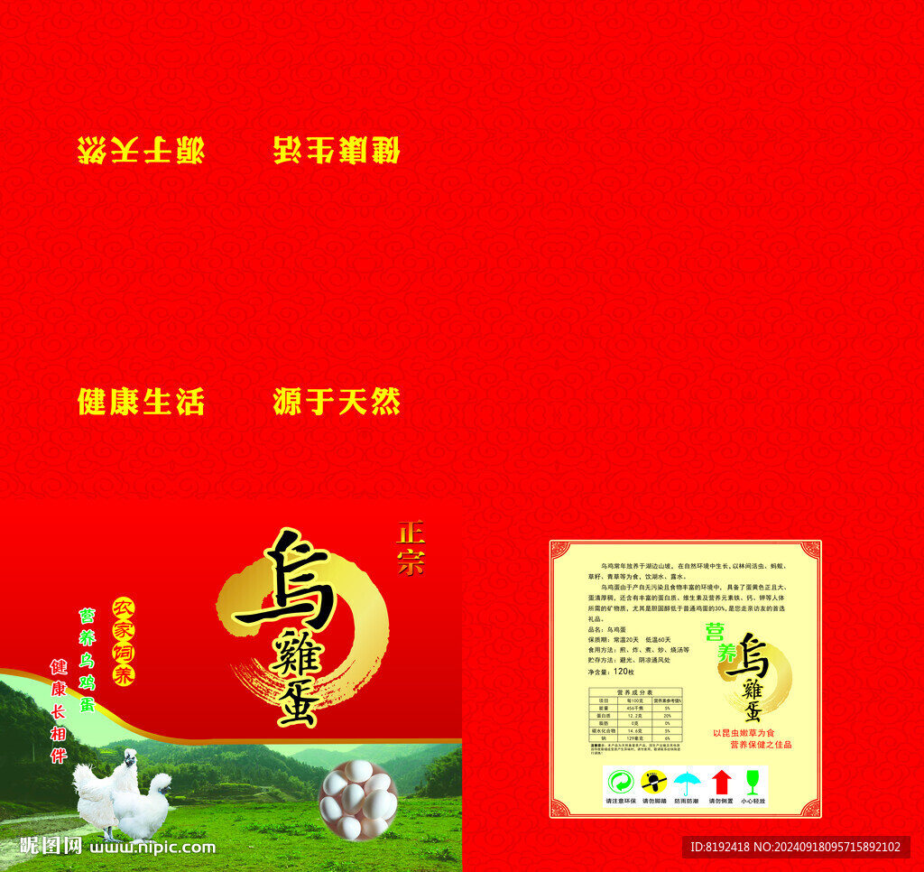 烏雞蛋箱