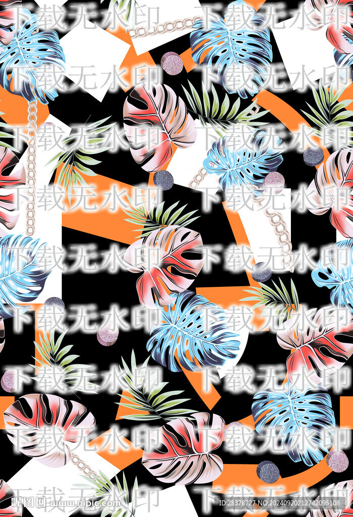 大牌龜背竹