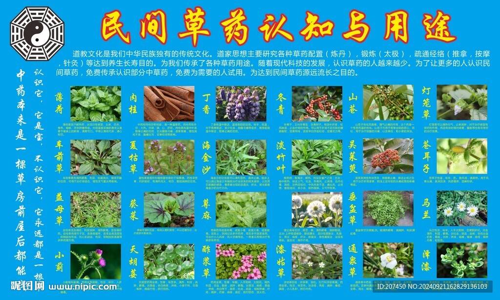 草藥認(rèn)知與用途