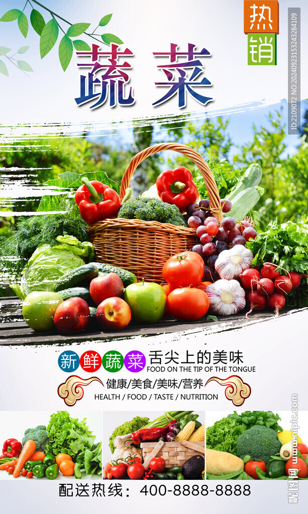 蔬菜  