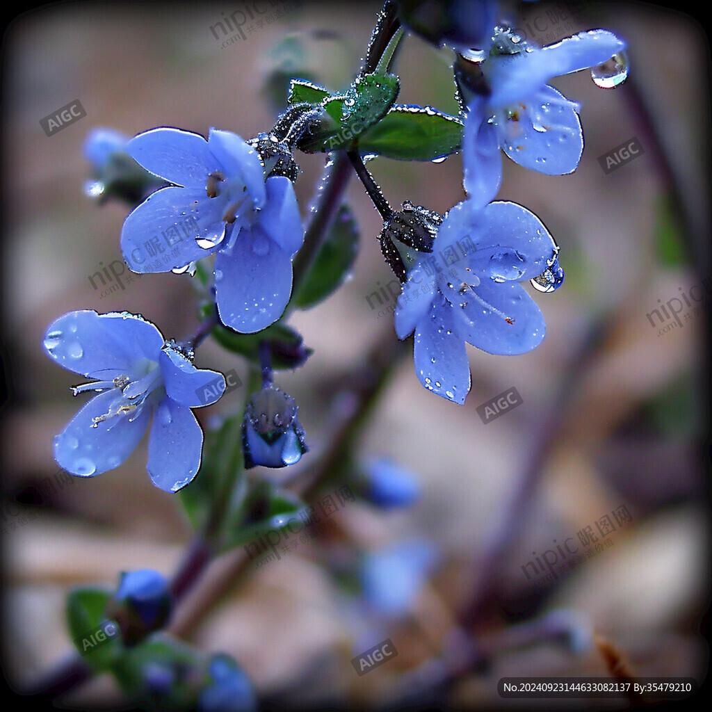 梨花一枝春帶雨