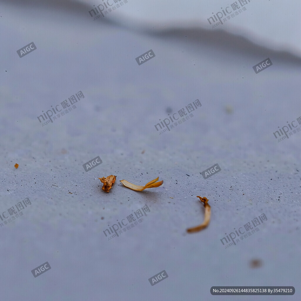 凋謝的花蕊