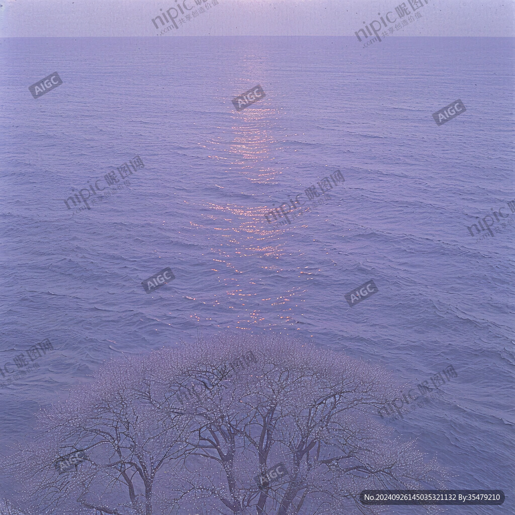 海上千枝光照水