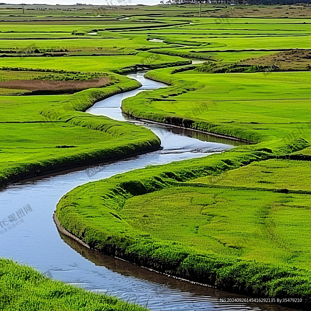 小河彎彎綠色水草