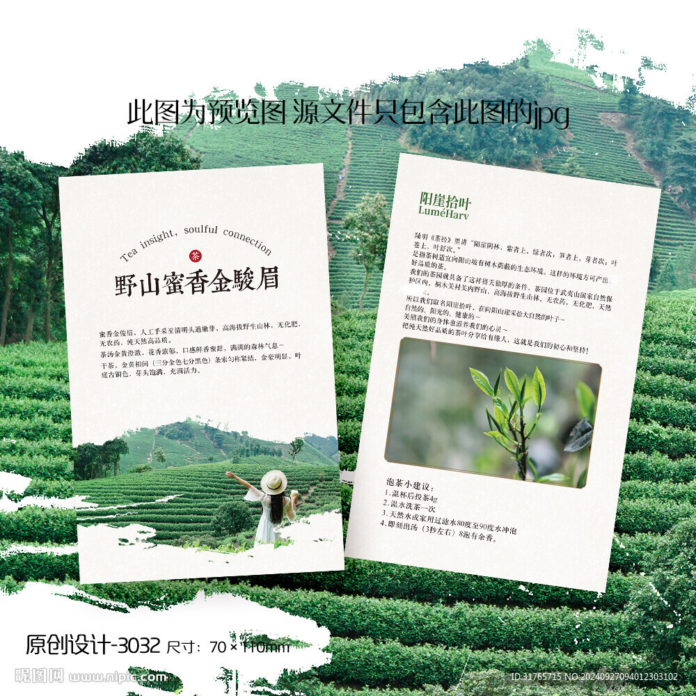 金駿眉紅茶茶葉介紹卡片