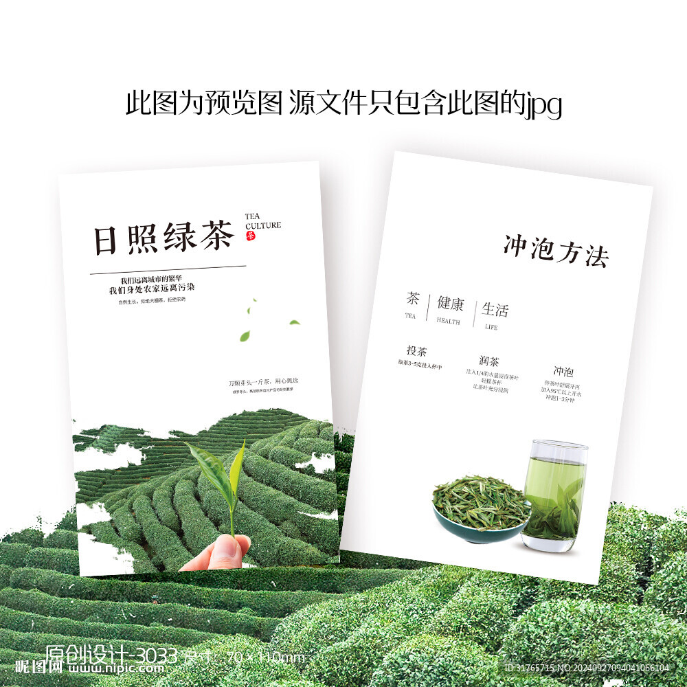 日照綠茶茶葉介紹卡片