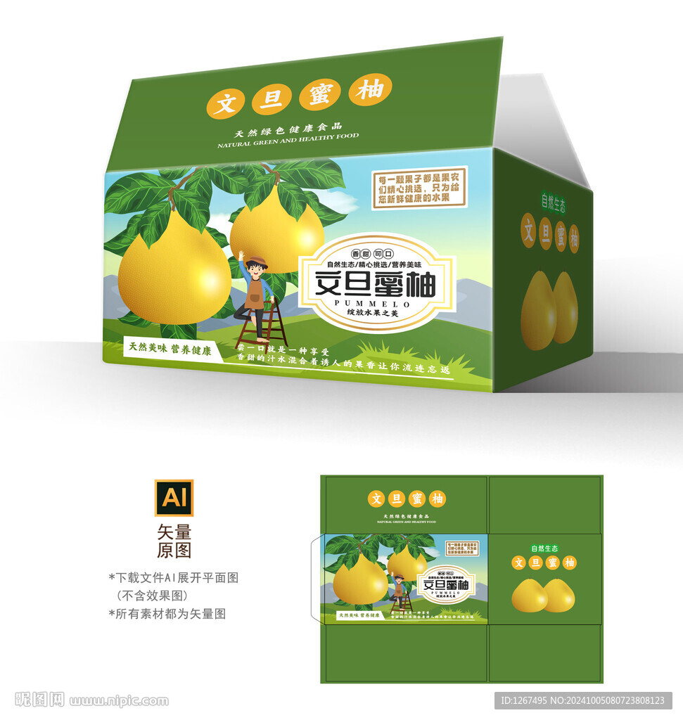文旦蜜柚包裝