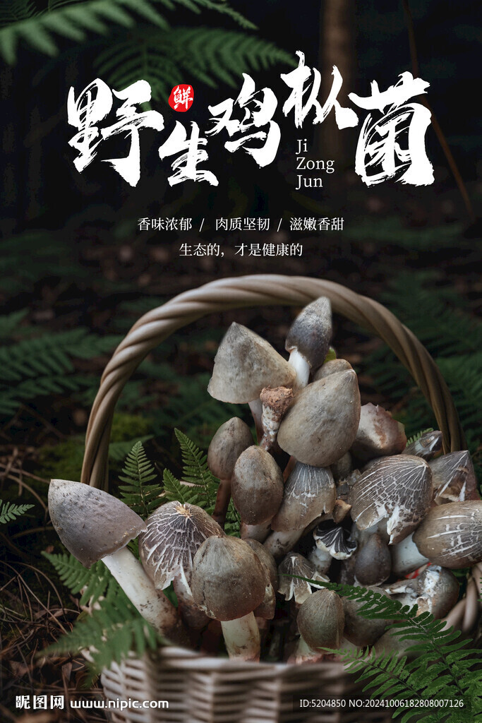 雞樅菌
