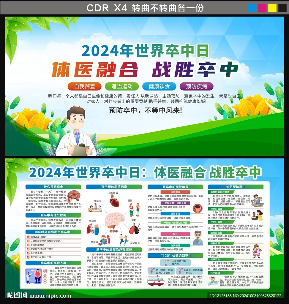 2024年世界卒中日