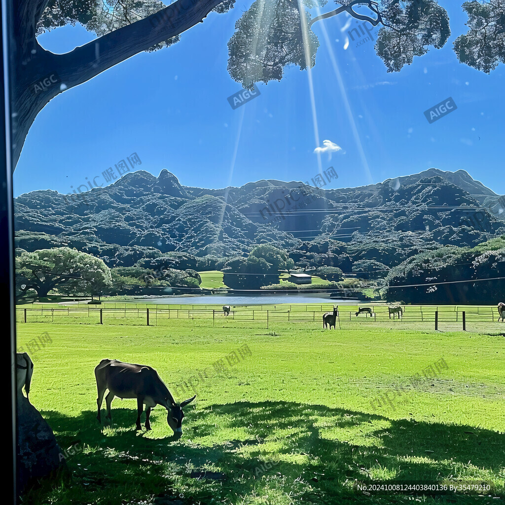 川湯川湯川湯公園騎馬牧場(chǎng)