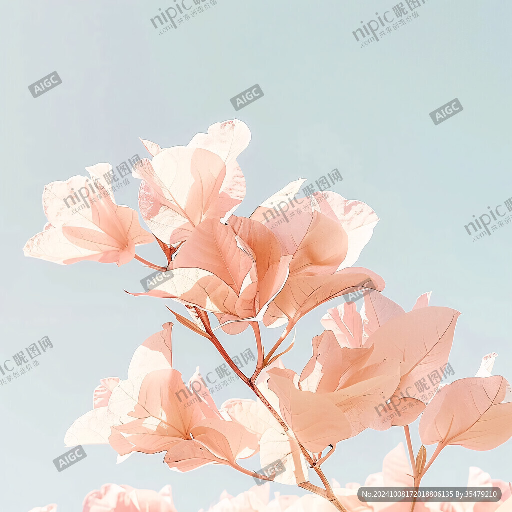 簡約現(xiàn)代玉蘭花